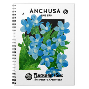 Carnet Étiquette de paquets de semences Anchusa