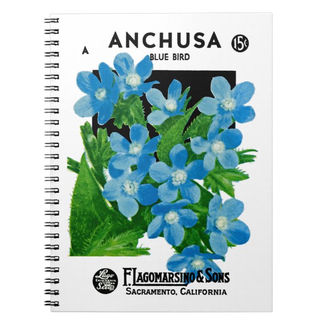Carnet Étiquette de paquets de semences Anchusa (Devant)