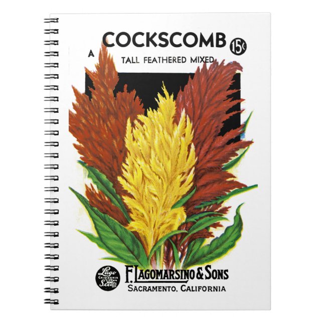 Carnet Étiquette de paquets de semences Cockscomb (Devant)