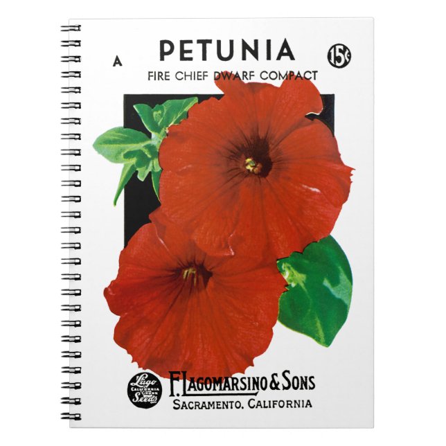 Carnet Étiquette de paquets de semences Petunia (Devant)