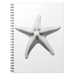 Carnet Étoile de mer noire et blanche