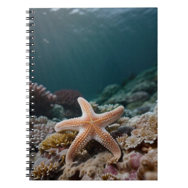 Carnet Étoiles de mer dans les profondeurs de la mer (Devant)