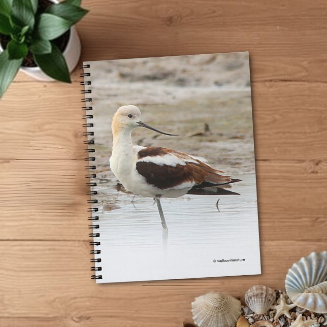 Carnet Étonnant oiseau à pattes à la plage américain Avoc (Stunning American Avocet at the Beach Journal Cover Photo)
