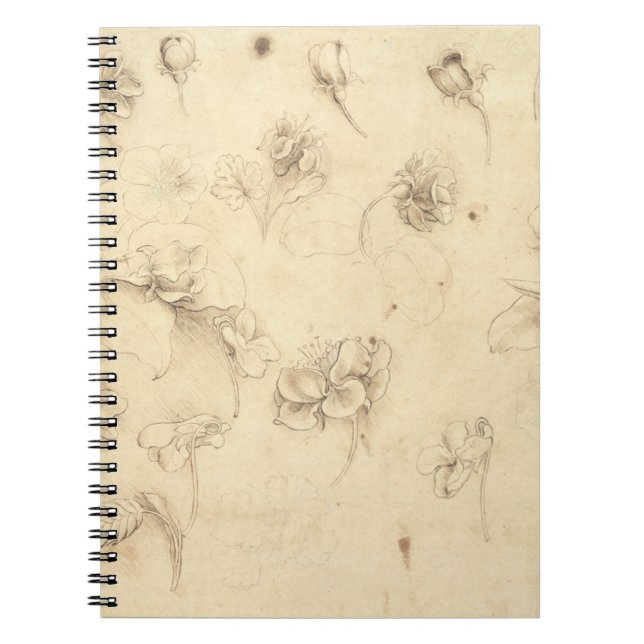 Carnet Étude des fleurs de Herbe-comme des plantes (Briza (Devant)