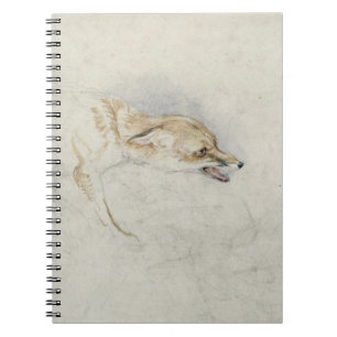 Carnet Étude d'un Fox de acroupissement, faisant face au