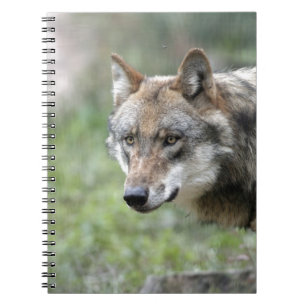 Carnet Europäischer Wolf