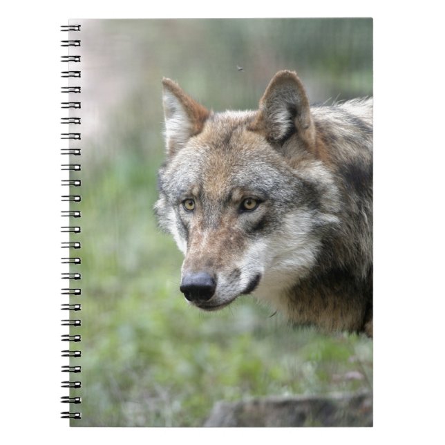 Carnet Europäischer Wolf (Devant)