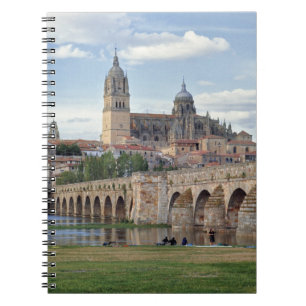 Carnet Europe, Espagne, Salamanque. Le pont romain sur