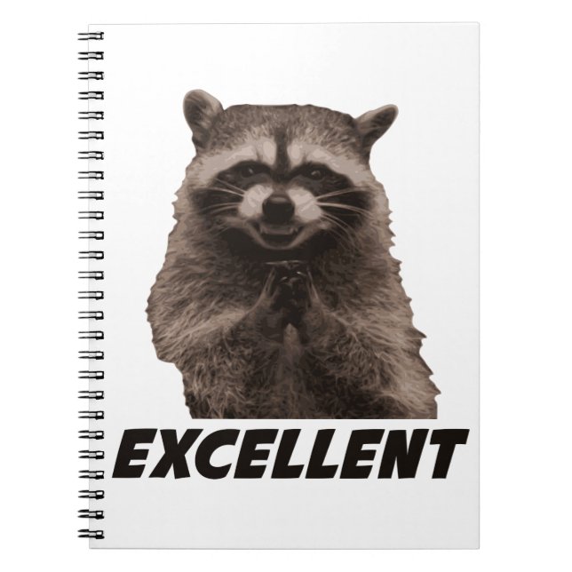 Carnet Excellent Raccoon de lot de mal (Devant)