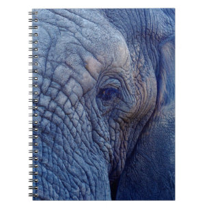 CARNET EXPÉRIENCE MARCHER AVEC LES ÉLÉPHANTS COMMENT ET H