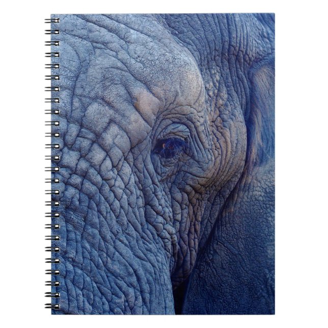 CARNET EXPÉRIENCE MARCHER AVEC LES ÉLÉPHANTS COMMENT ET H (Devant)