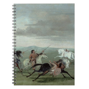 Carnet Exploits de Comanche de l'équitation martiale,