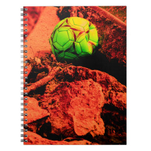 Carnet explorateur de moustiques
