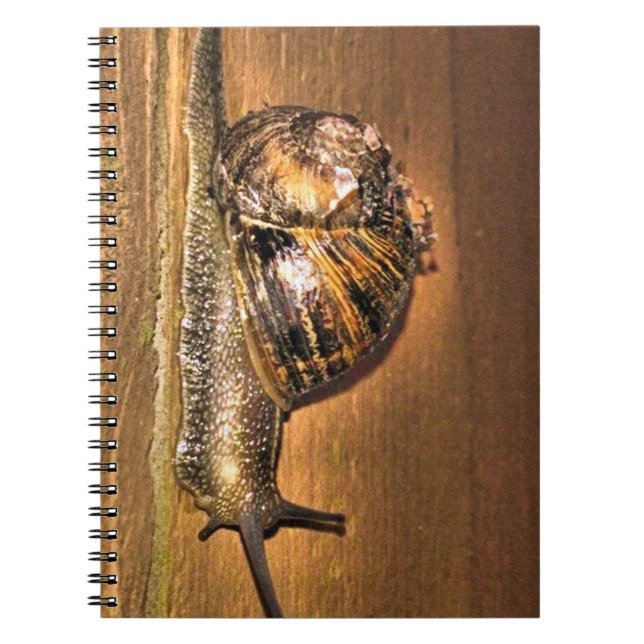 Carnet Explorer vers la terre - Macro de l'escargot sur l (Devant)