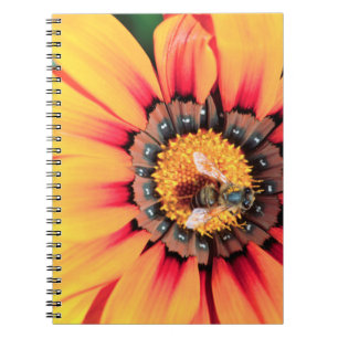 Carnet Extrême Gros Plan D'une Abeille Collectant Du Poll