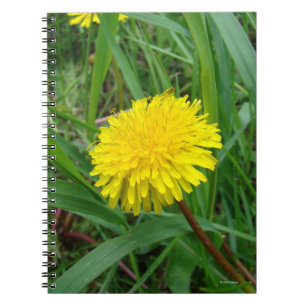 Carnet F45 Pissenlit