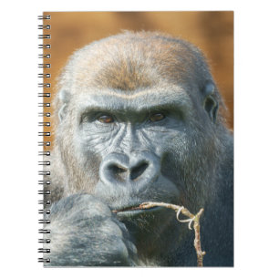 Carnet Face à face avec une Gorille