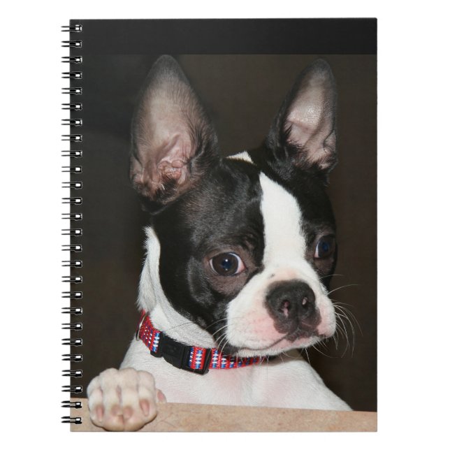 Carnet Face de Boston Terrier (Devant)