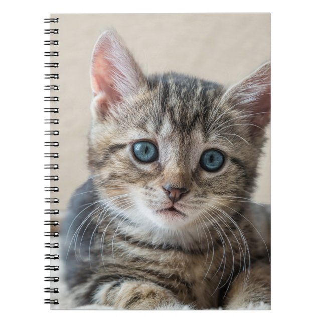 Carnet Face de chat mignonne (Devant)