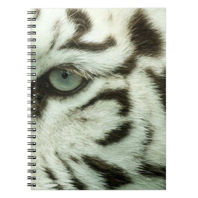 CARNET FACE DU TIGRE BLANC (Devant)