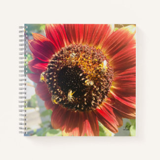 Carnet Faire Du Monde Un Meilleur Endroit