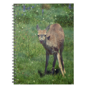 Carnet Faire face