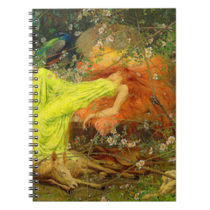 Carnet Fairy Tale Arthur Wardle