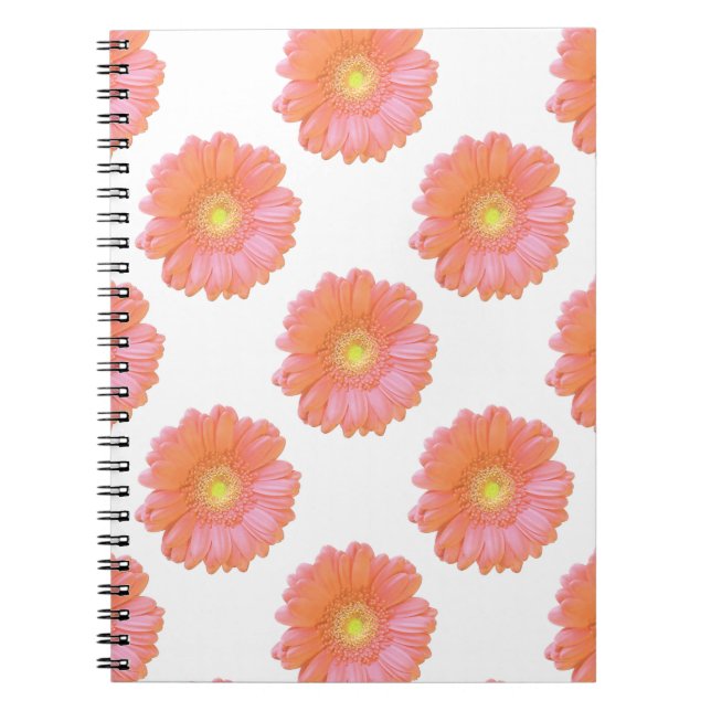 Carnet Faisée de gerbera orange (Devant)