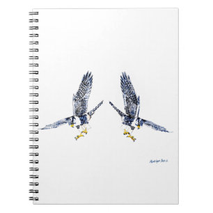 Carnet Falcons pèlerins
