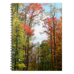 Carnet Fall Trees and Blue Sky Autumn Nature Photography