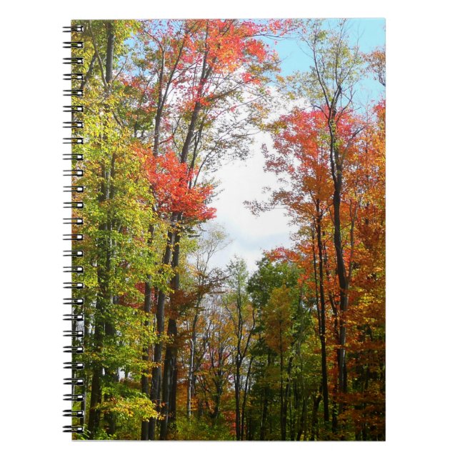 Carnet Fall Trees and Blue Sky Autumn Nature Photography (Devant)