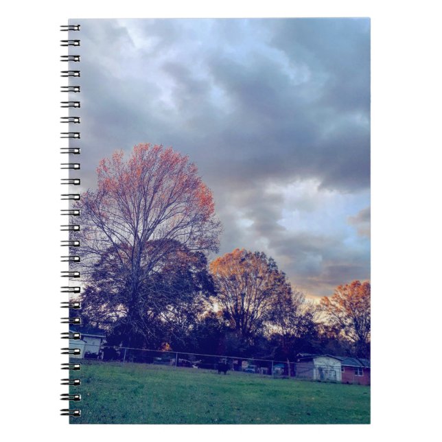 Carnet Fallin' amoureux (Devant)