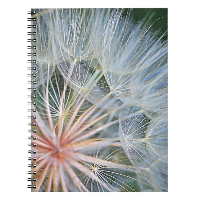 Carnet Falln de nouveaux voeux (Devant)