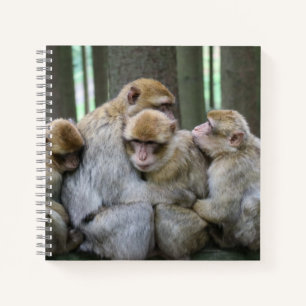 Carnet Famille Cute Ape Photo Hug