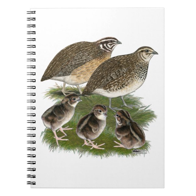 Carnet Famille de Cailles Coturnix (Devant)