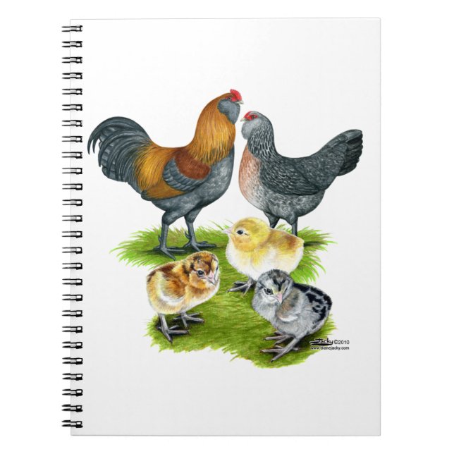 Carnet Famille de poules Ameraucana (Devant)