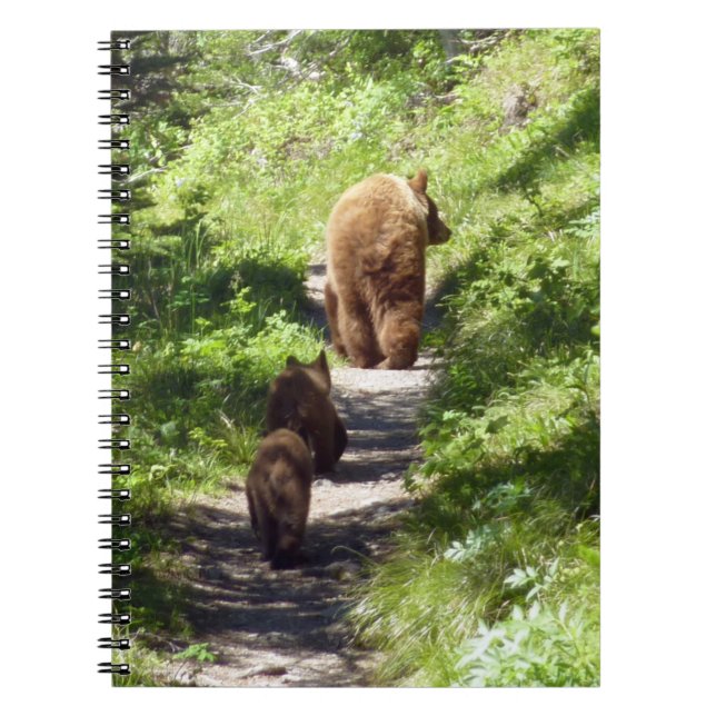 Carnet Famille d'ours Brown (Devant)