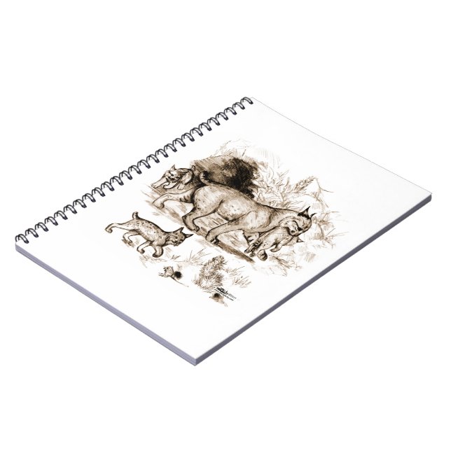 Carnet Famille du Lynx roux (Côté gauche)