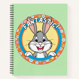 Carnet Fantastique, Lapin 
