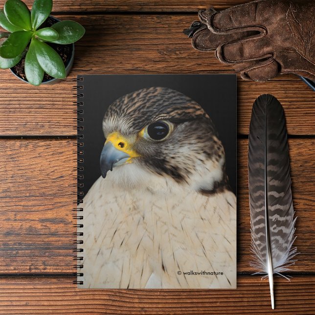 Carnet Faucon hybride Gyrfalcon Saker (Gyrfalcon Saker Falcon Hybrid Journal Cover Photo)
