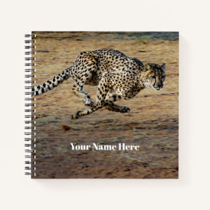 Carnet Faune Cheetah Running Photo