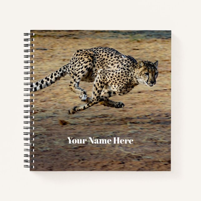 Carnet Faune Cheetah Running Photo (Devant)