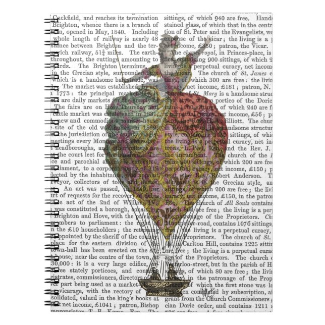 Carnet Femme de ballon à air chaud 3 (Devant)