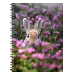 Carnet Ferme de lapins