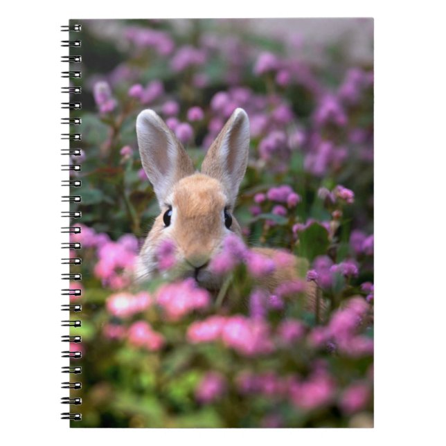 Carnet Ferme de lapins (Devant)