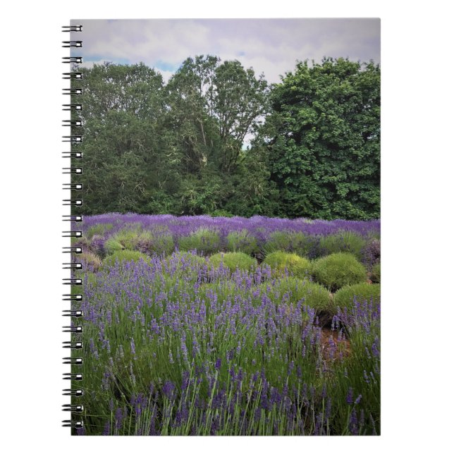 Carnet Ferme de Lavender (Devant)