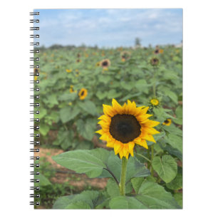 Carnet Ferme de photographie de terrain de tournesol