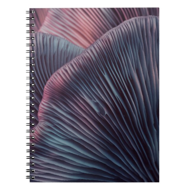 Carnet Fermer beau bouquet de champignons couleur lumière (Devant)