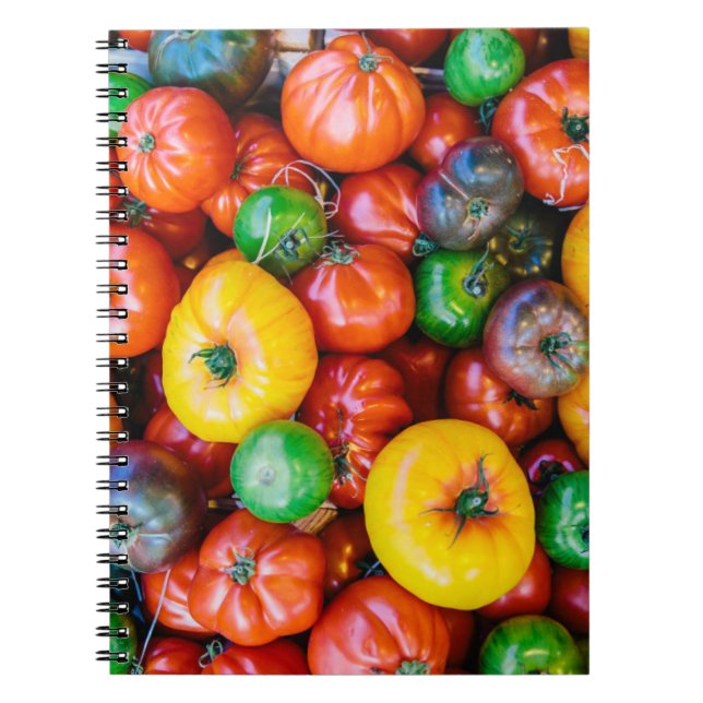 Carnet Fermes | Récolte colorée de tomates (Devant)