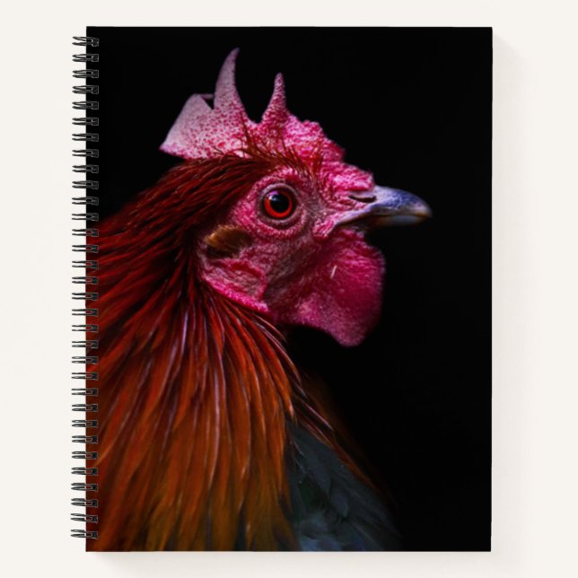 Carnet Fermes | Tête de coq (Devant)